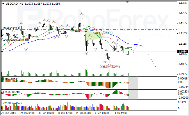 Анализ индикаторов Б. Вильямса для USD/CAD на 04.02.2014