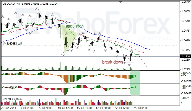 Анализ индикаторов Б. Вильямса для USD/CAD на 25.07.2013