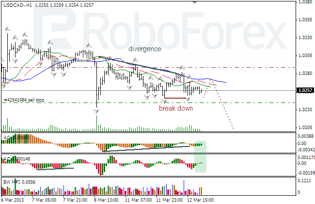 Анализ индикаторов Б. Вильямса для USD/CAD на 13.03.2013