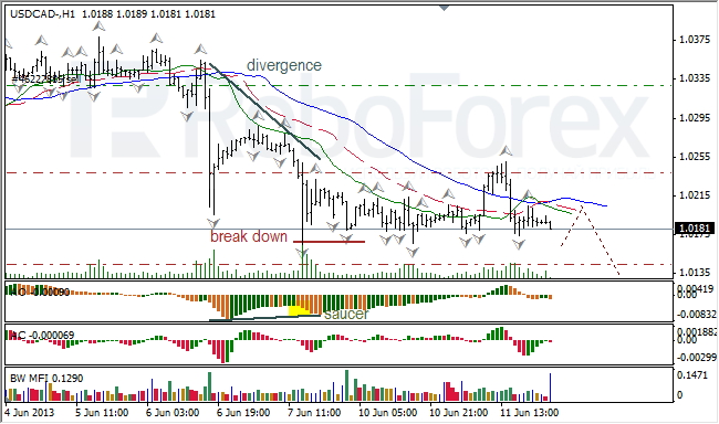 Анализ индикаторов Б. Вильямса для USD/CAD на 12.06.2013