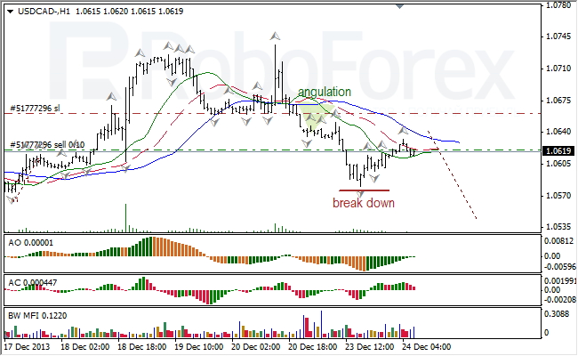 Анализ индикаторов Б. Вильямса для USD/CAD на 24.12.2013