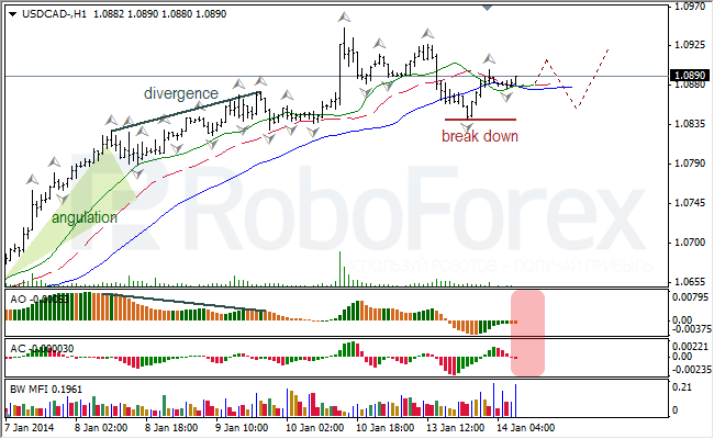 Анализ индикаторов Б. Вильямса для USD/CAD на 14.01.2014