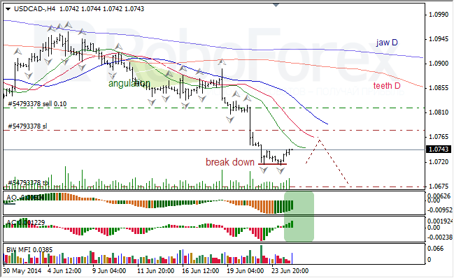 Анализ индикаторов Б. Вильямса для USD/CAD и NZD/USD на 25.06.2014