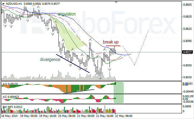 Анализ индикаторов Б. Вильямса для USD/CAD и NZD/USD на 22.05.2014.