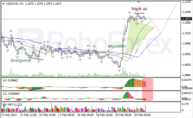 Анализ индикаторов Б. Вильямса для USD/CAD и NZD/USD на 20.02.2014