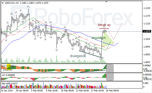 Анализ индикаторов Б. Вильямса для USD/CAD и NZD/USD на 20.02.2014