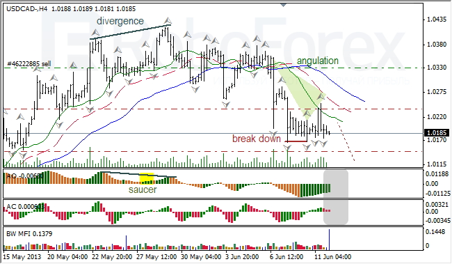 Анализ индикаторов Б. Вильямса для USD/CAD на 12.06.2013