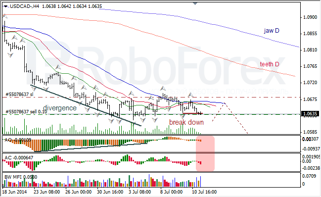 Анализ индикаторов Б. Вильямса для USD/CAD и NZD/USD на 11.07.2014