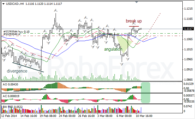 Анализ индикаторов Б. Вильямса для USD/CAD и NZD/USD на 11.03.2014