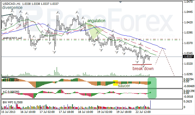 Анализ индикаторов Б. Вильямса для USD/CAD на 23.07.2013