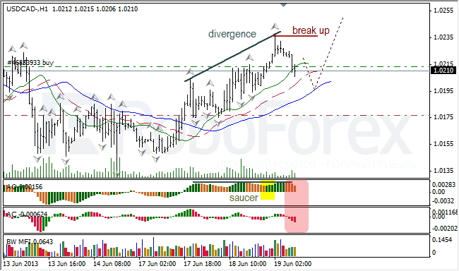 Анализ индикаторов Б. Вильямса для USD/CAD на 19.06.2013