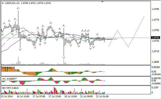 Анализ индикаторов Б. Вильямса для USD/CAD и NZD/USD на 22.07.2014