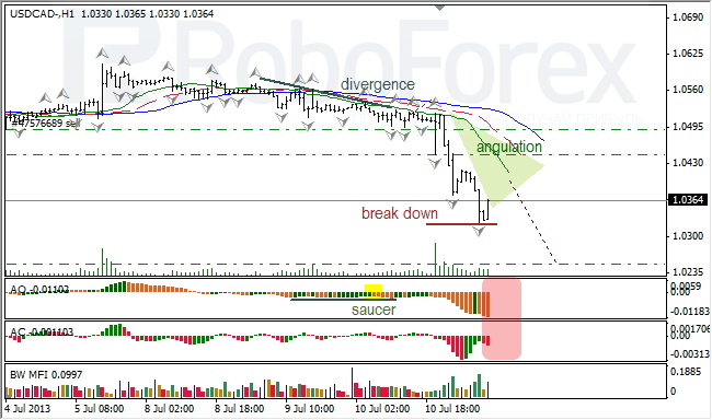 Анализ индикаторов Б. Вильямса для USD/CAD на 11.07.2013