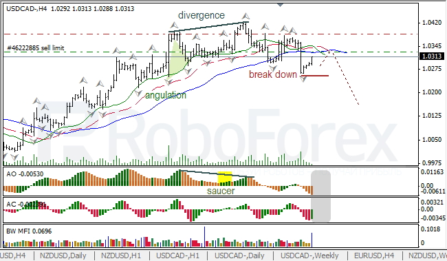 Анализ индикаторов Б. Вильямса для USD/CAD на 04.06.2013