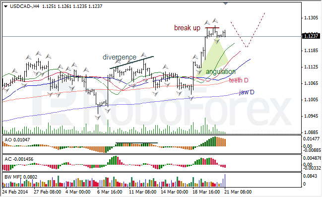 Анализ индикаторов Б. Вильямса для USD/CAD и NZD/USD на 21.03.2014 