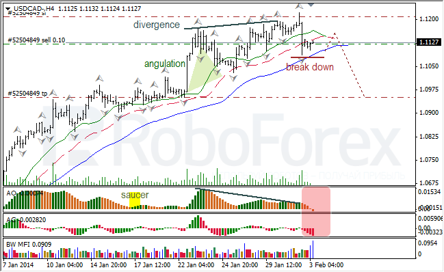 Анализ индикаторов Б. Вильямса для USD/CAD на 03.02.2014