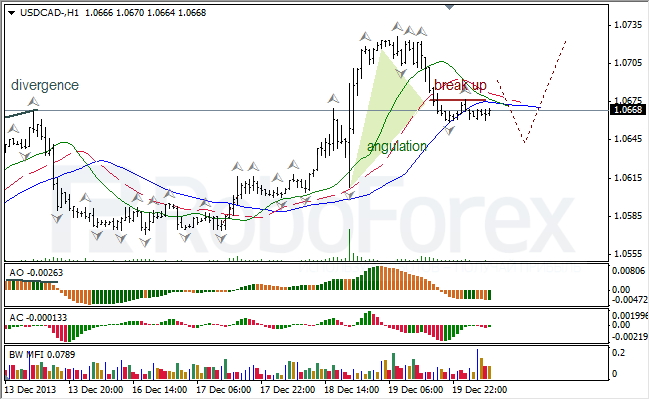 Анализ индикаторов Б. Вильямса для USD/CAD на 20.12.2013