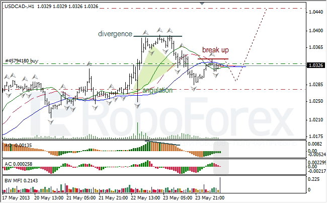 Анализ индикаторов Б. Вильямса для USD/CAD на 24.05.2013