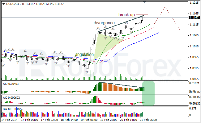 Анализ индикаторов Б. Вильямса для USD/CAD и NZD/USD на 21.02.2014