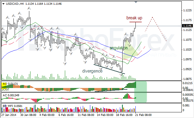 Анализ индикаторов Б. Вильямса для USD/CAD и NZD/USD на 21.02.2014