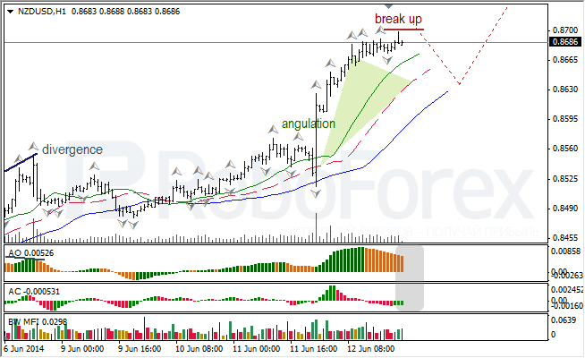 Анализ индикаторов Б. Вильямса для USD/CAD и NZD/USD на 13.06.2014