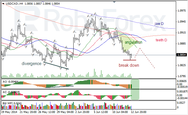 Анализ индикаторов Б. Вильямса для USD/CAD и NZD/USD на 13.06.2014