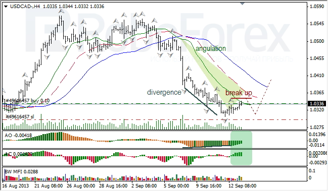 Анализ индикаторов Б. Вильямса для USD/CAD на 13.09.2013