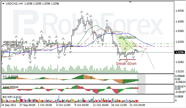 Анализ индикаторов Б. Вильямса для USD/CAD на 22.10.2013