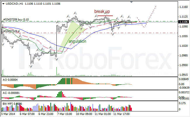 Анализ индикаторов Б. Вильямса для USD/CAD и NZD/USD на 12.03.2014