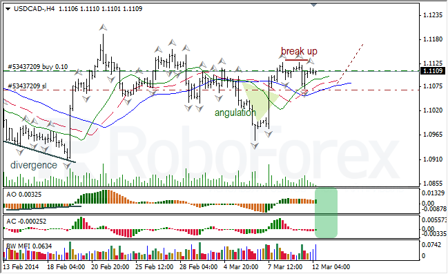 Анализ индикаторов Б. Вильямса для USD/CAD и NZD/USD на 12.03.2014