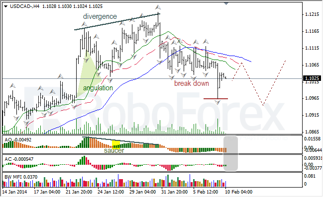 Анализ индикаторов Б. Вильямса для USD/CAD на 10.02.2014