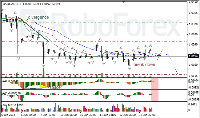 Анализ индикаторов Б. Вильямса для USD/CAD на 13.06.2013
