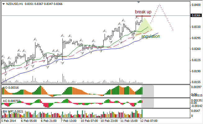 Анализ индикаторов Б. Вильямса для NZD/USD на 12.02.2014