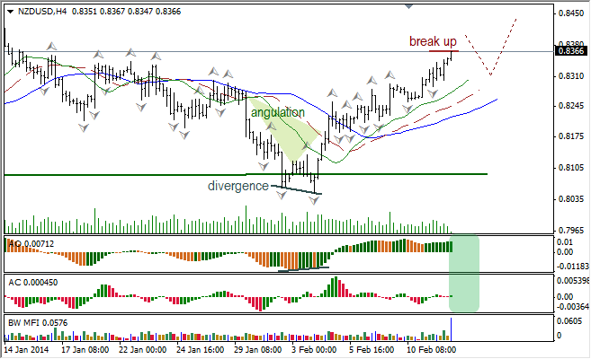 Анализ индикаторов Б. Вильямса для NZD/USD на 12.02.2014