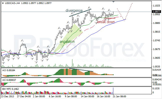 Анализ индикаторов Б. Вильямса для USD/CAD на 21.01.2014