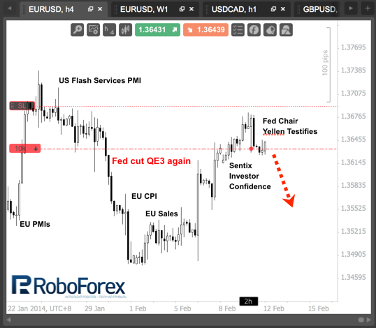 Откровения Джанет Йеллен. Фундаментальный обзор на 12.02.2014
