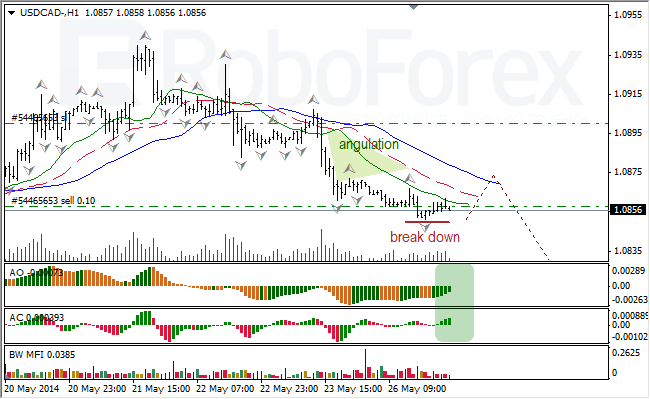 Анализ индикаторов Б. Вильямса для USD/CAD и NZD/USD на 27.05.2014