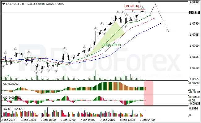 Анализ индикаторов Б. Вильямса для USD/CAD на 09.01.2014