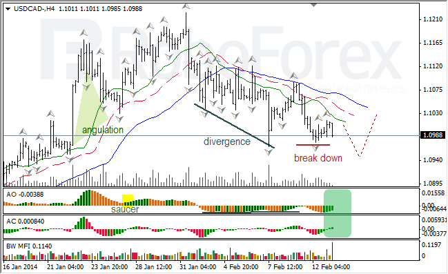 Анализ индикаторов Б. Вильямса для USD/CAD на 13.02.2014