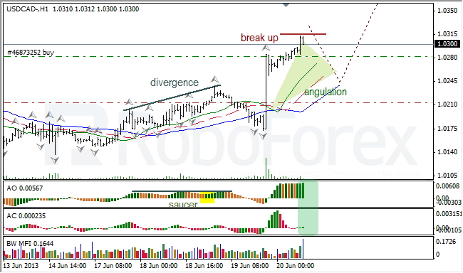 Анализ индикаторов Б. Вильямса для USD/CAD на 20.06.2013