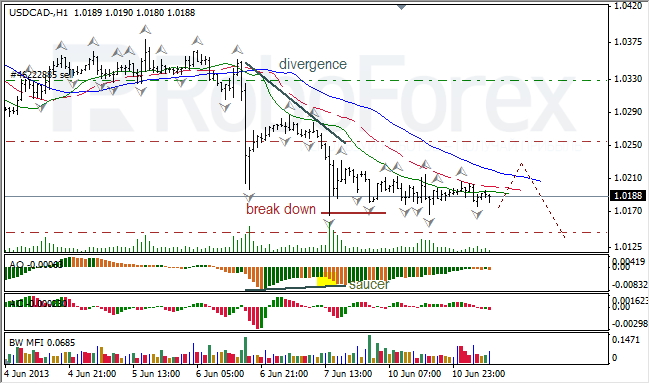 Анализ индикаторов Б. Вильямса для USD/CAD на 11.06.2013